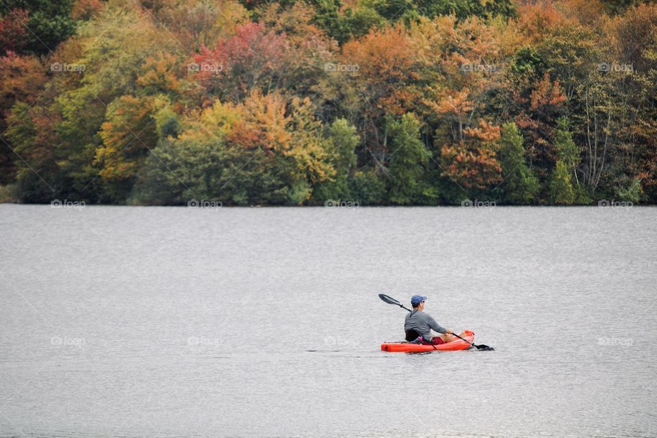 On the lake 