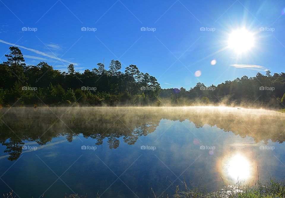 Morning Glory - The magnificent explosive sunrise burns the fog off the still lake revealing the reflection of the tall green pine trees, the blue cloudless sky and the spectacular hot sun