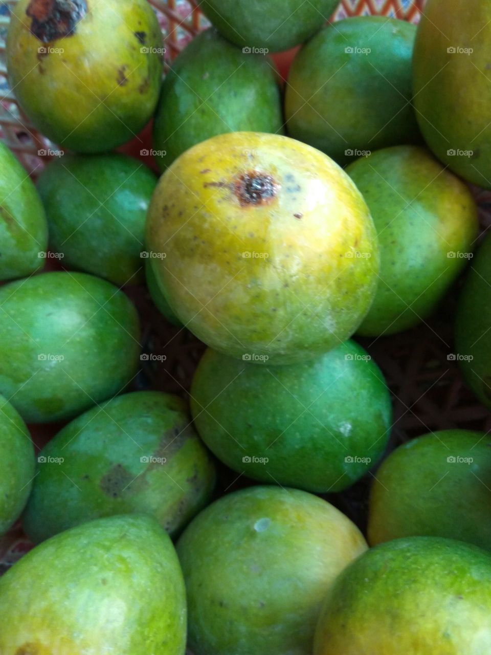 Green Color story.....Mangos