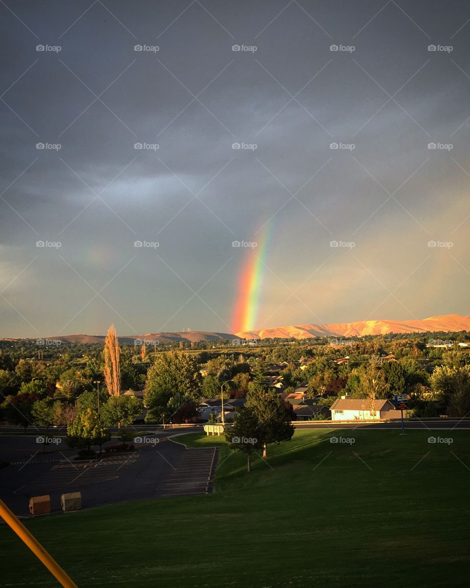 Yakima rainbow