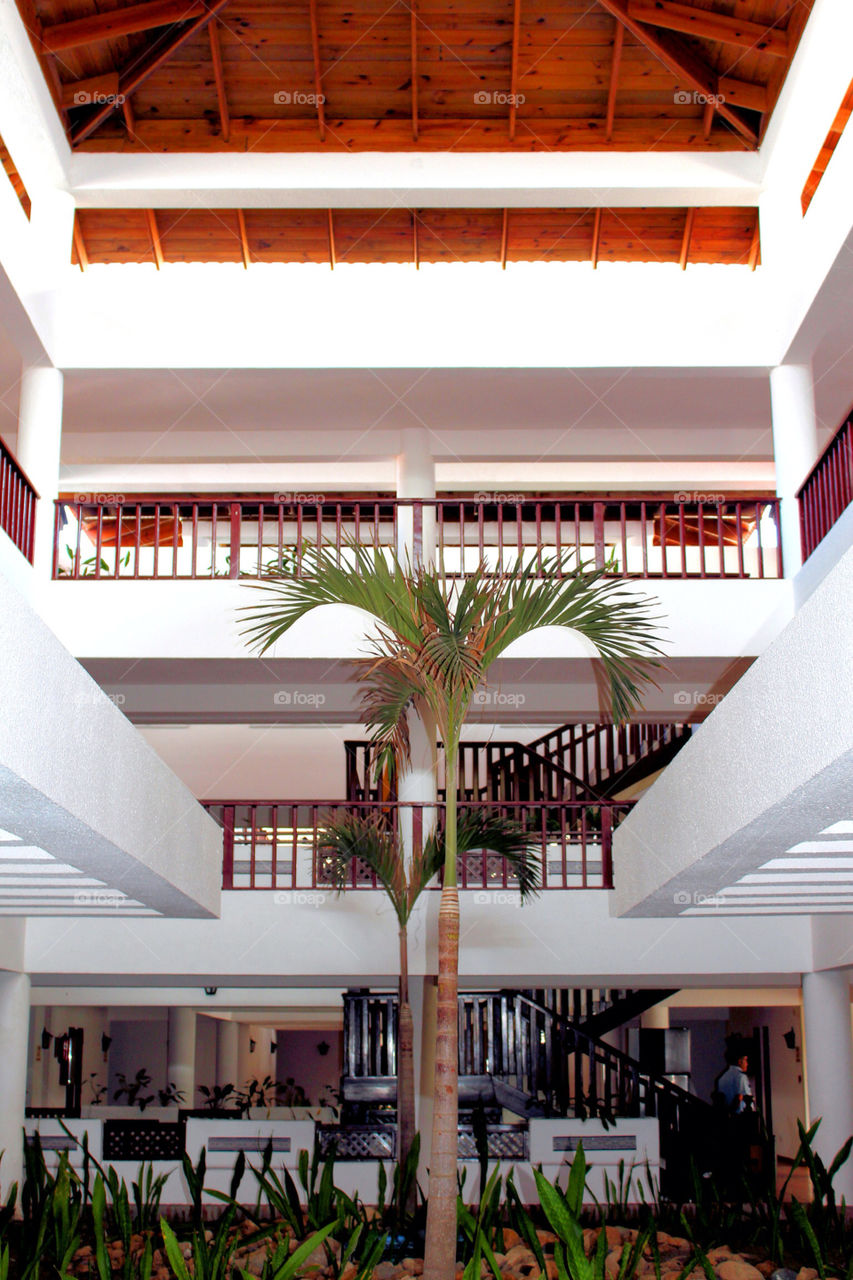 tree palm hotel resort by lagacephotos