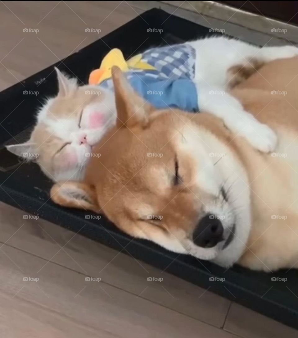 Sleeping Together