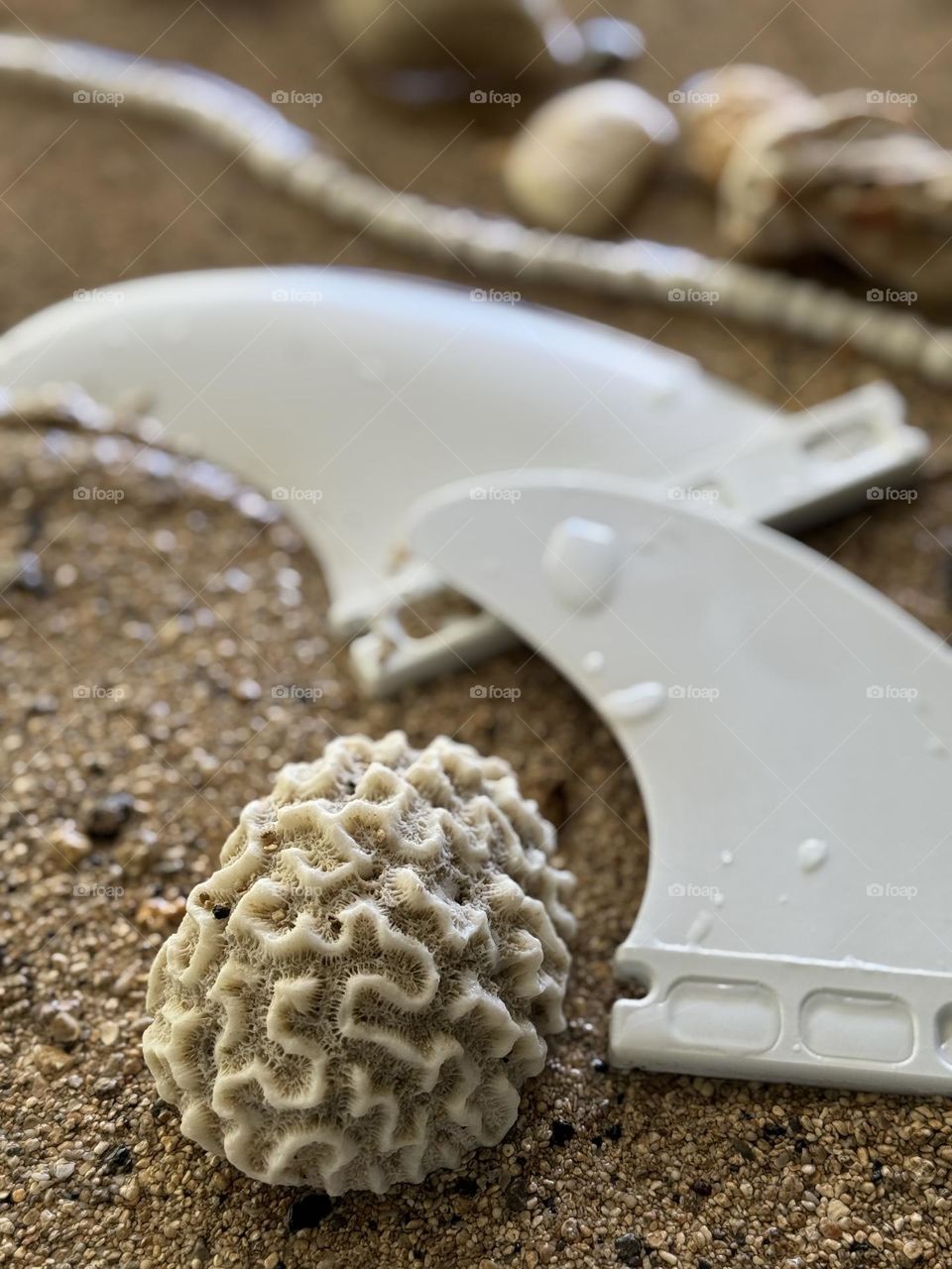 A piece of brain coral and two small white surfboard fins with a puka shell necklace and coral fragments in wet beach sand