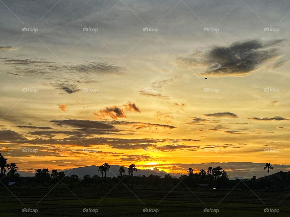 Photos of evening atmosphere, light and shadow from nature.