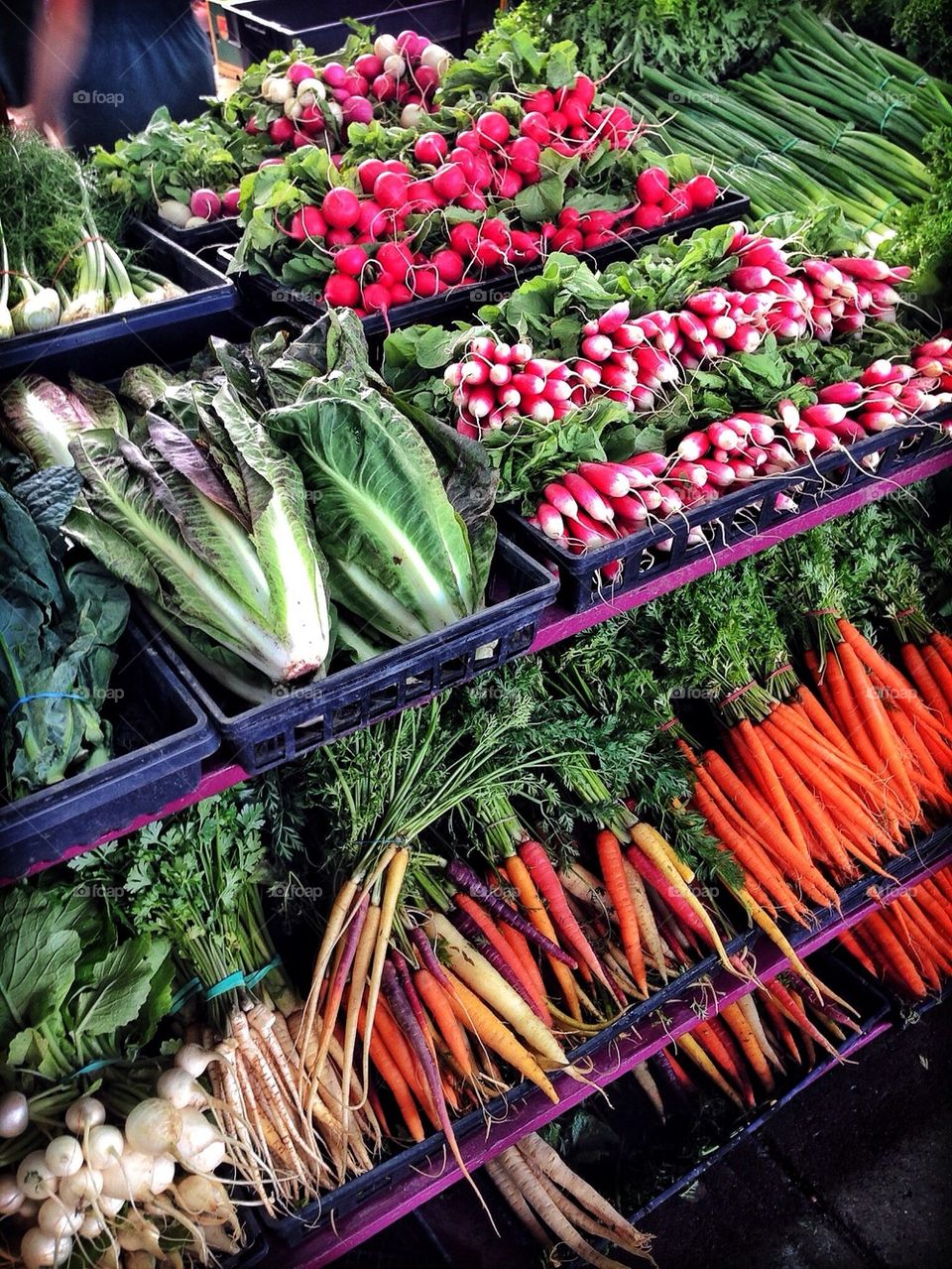 Every variety available