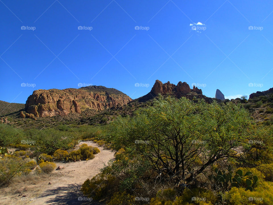 Arizona Desert