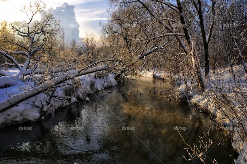 The sun's glare of a frosty day is reflected in the river among the snow-covered forest