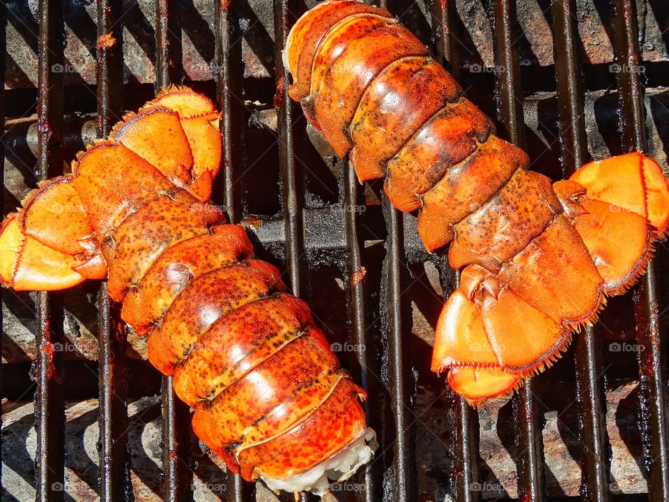 Lobster For Dinner. Fresh Giant Red Lobster Tails Cooking On The Grill
