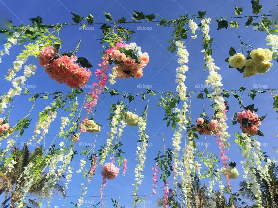 Flowers in the sky