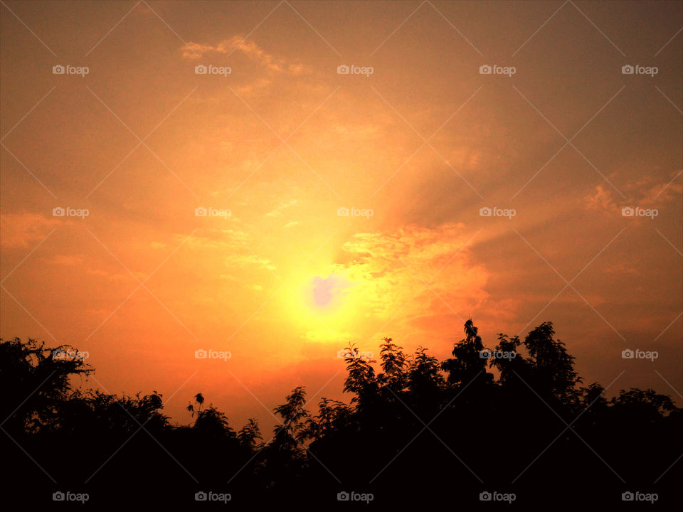 good morning. sunrise view on my way