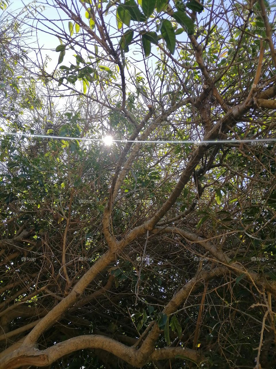 Upload your photo of the week : summer light