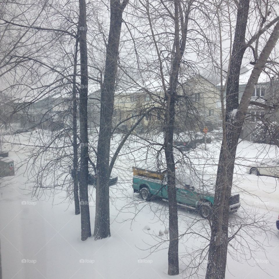 Snow fall in front of my eyes