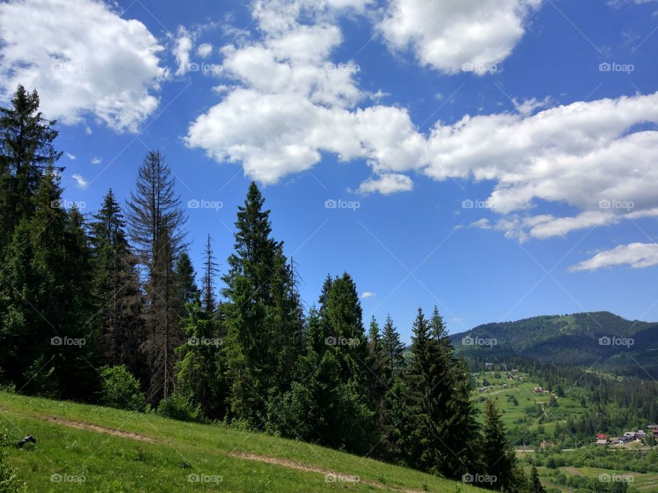 Carpathian mountains landscape