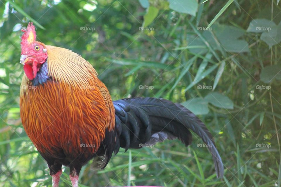 Editors' Choise: Photo of the Week