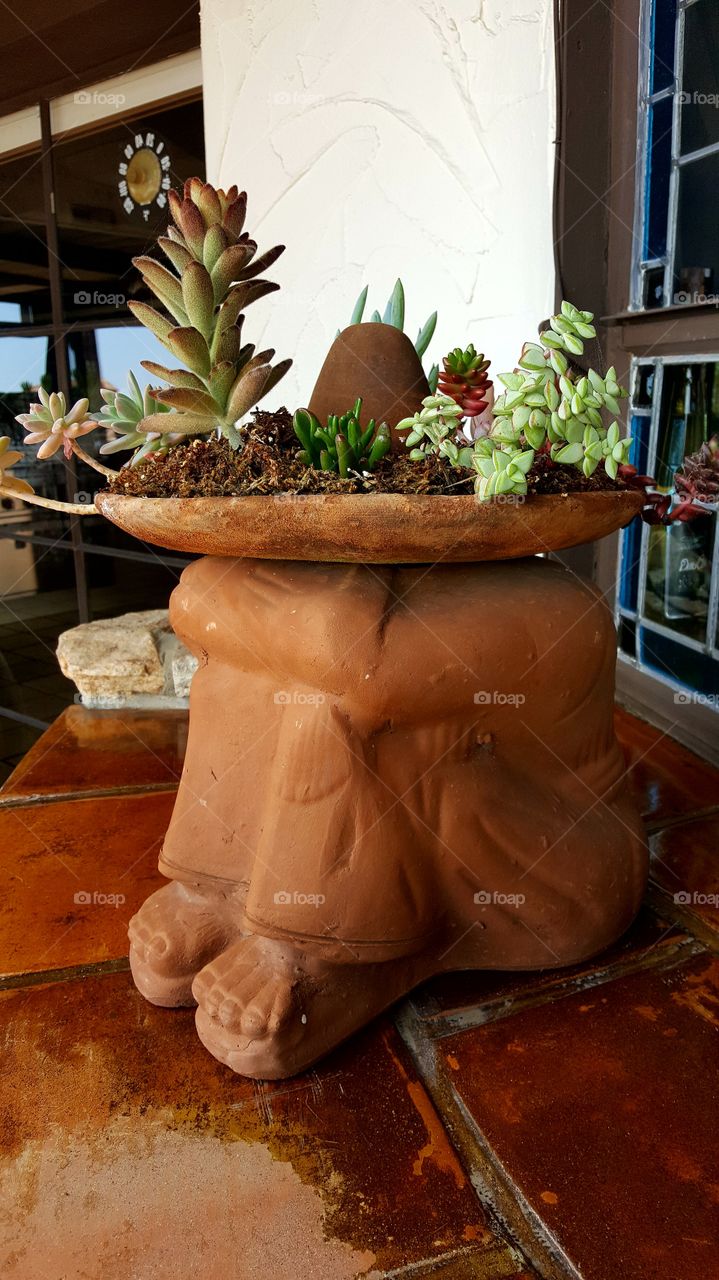 Succulent Clay planter