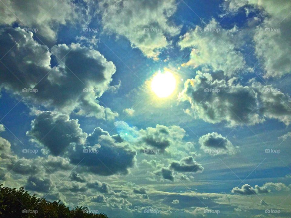 The sun shines through 