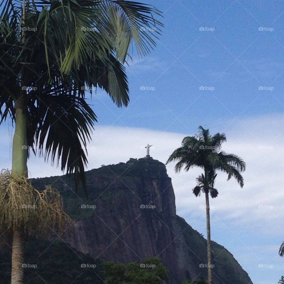 Vista do Jardim Botânico para o Corcovado