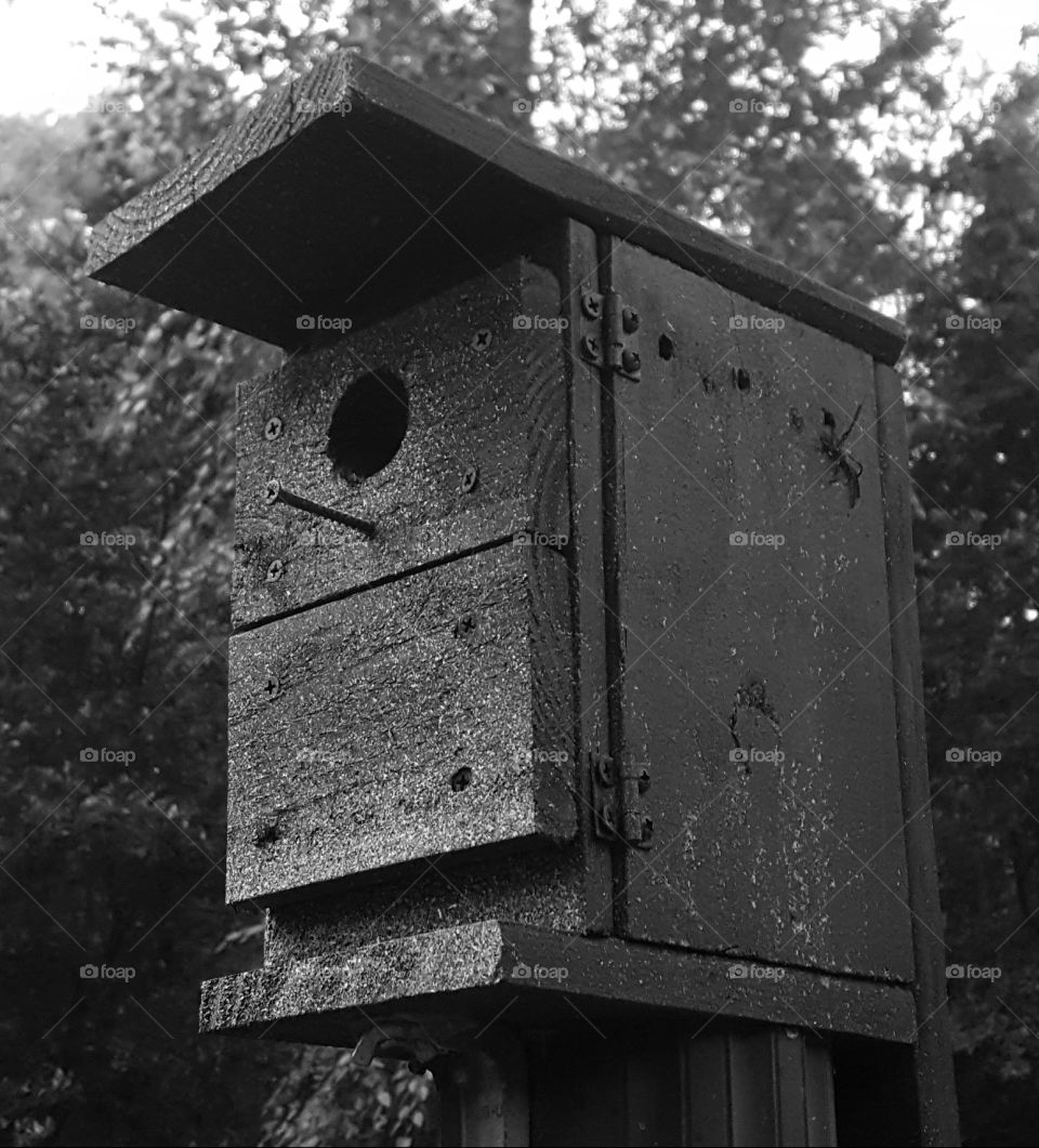 birdhouse grayscale