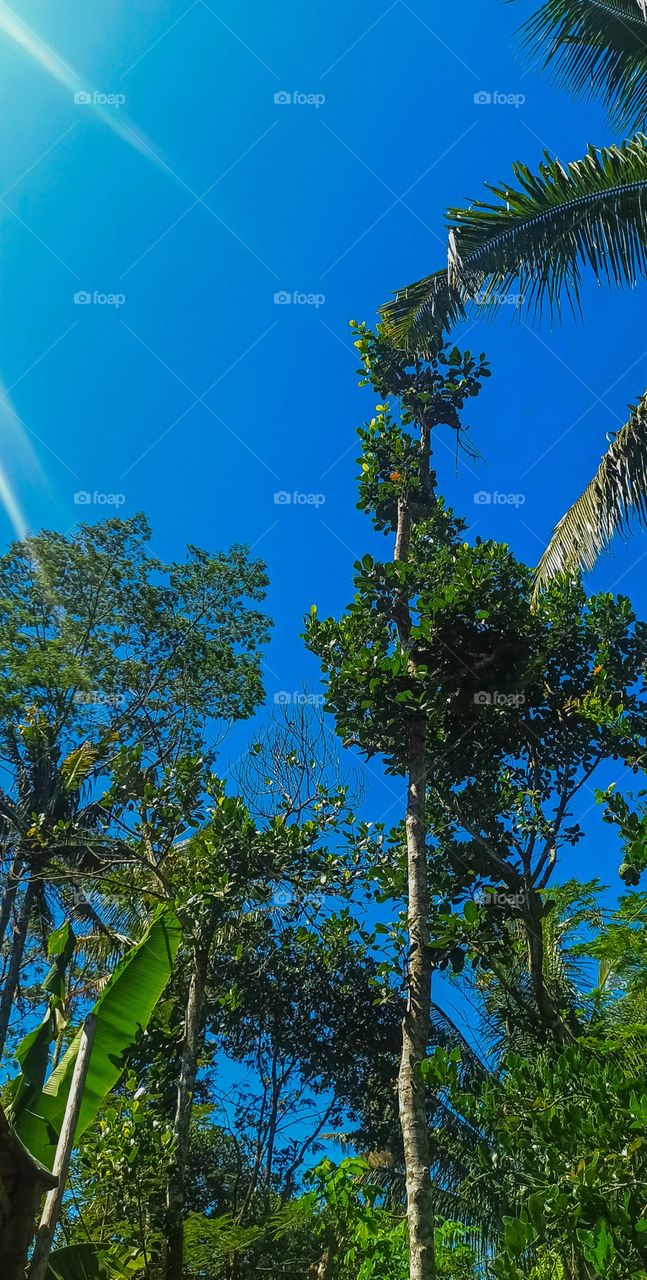 have sunny day? foap it!