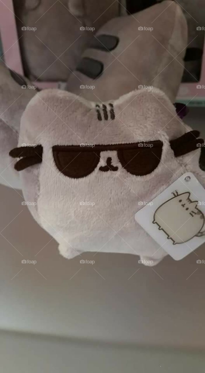 Japanese Popular Items and Characters