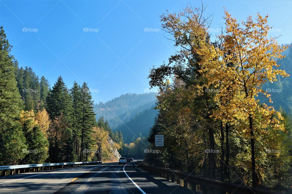 Autumn long shadows across the highway