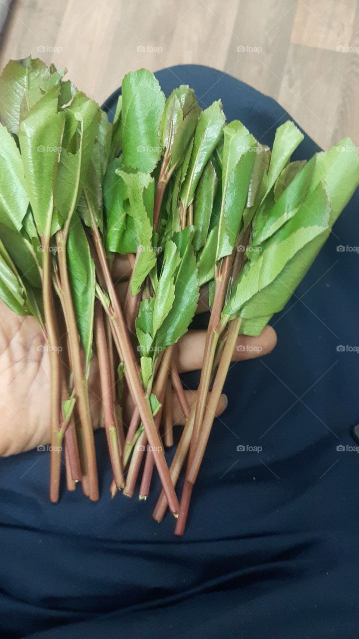 mmmhmm2001@gmail.com