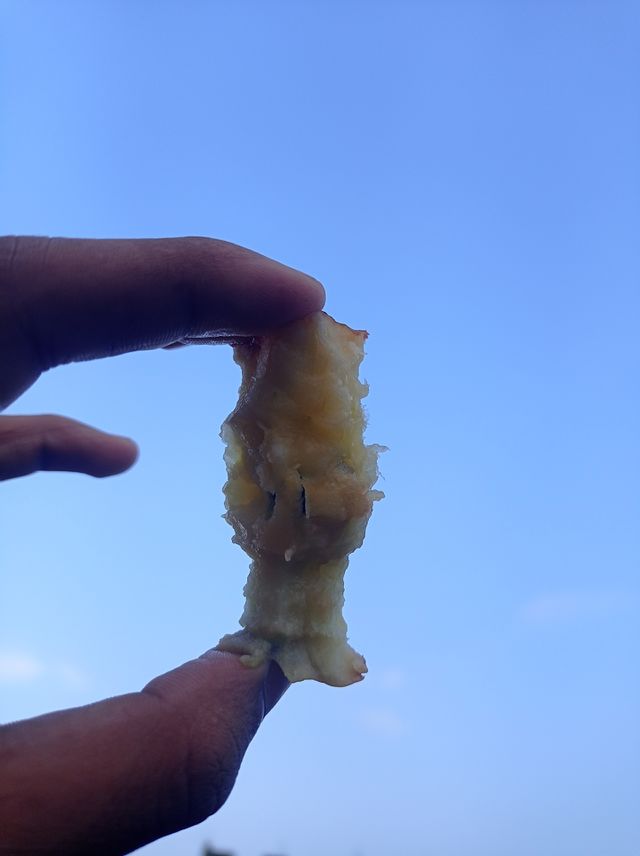 eaten apple