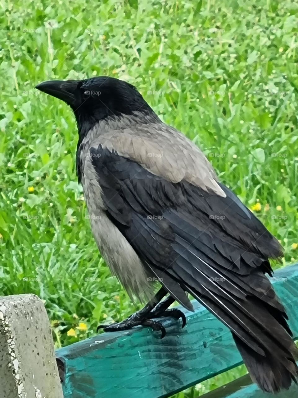 a little rest on the bench