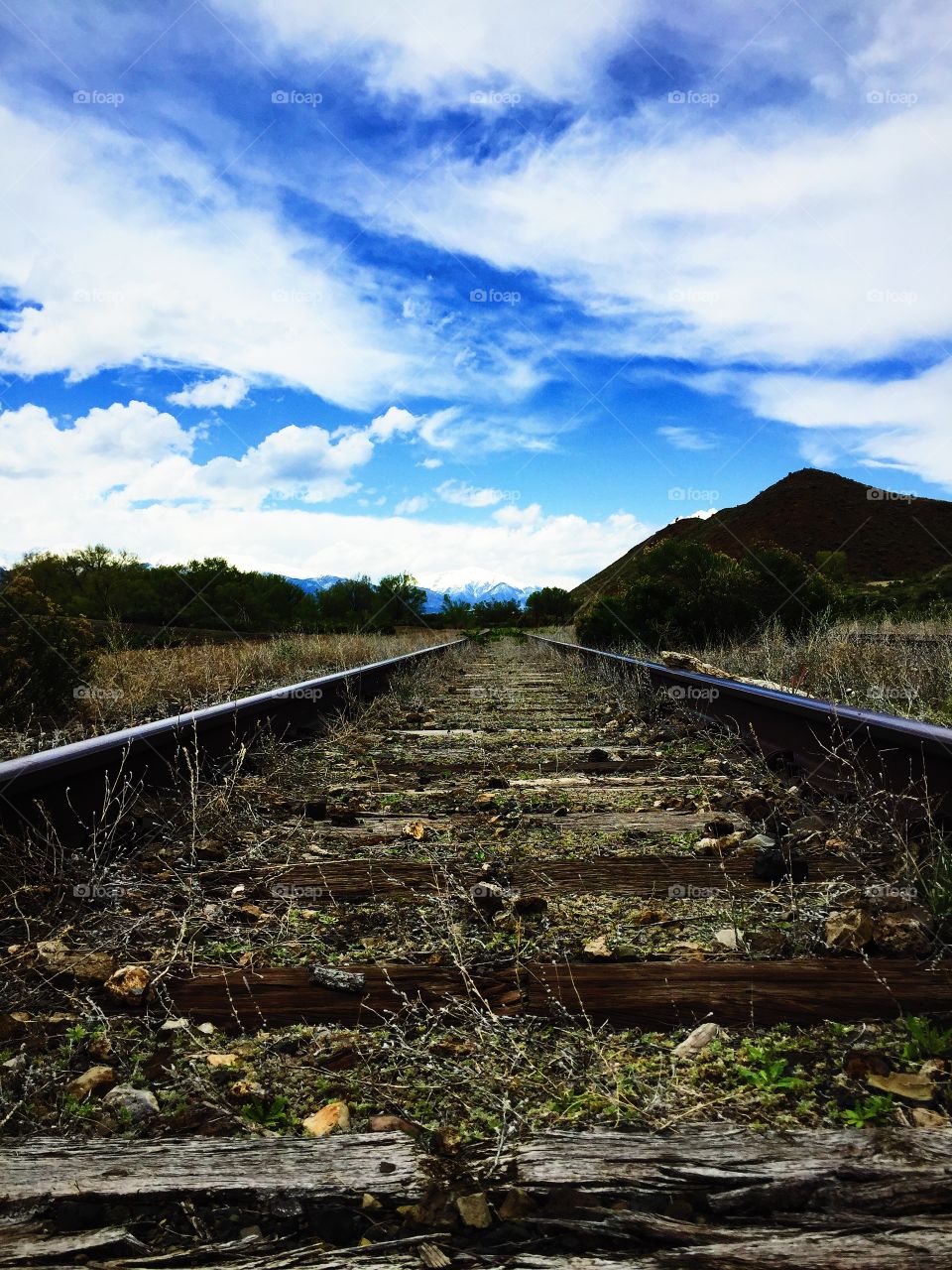 Road Less Traveled. Salida, CO