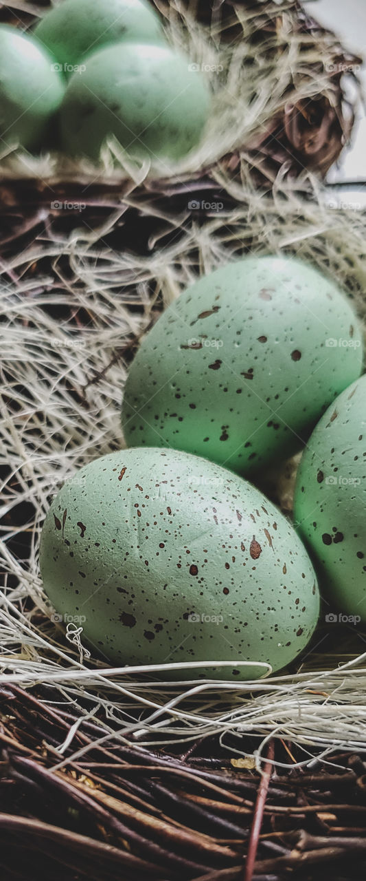 Easter decoration. Small bird eggs in a stick nest.
