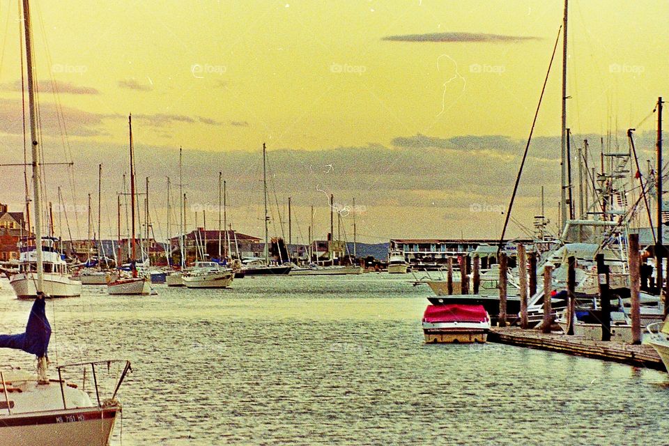 Harbor on Cape Cod!