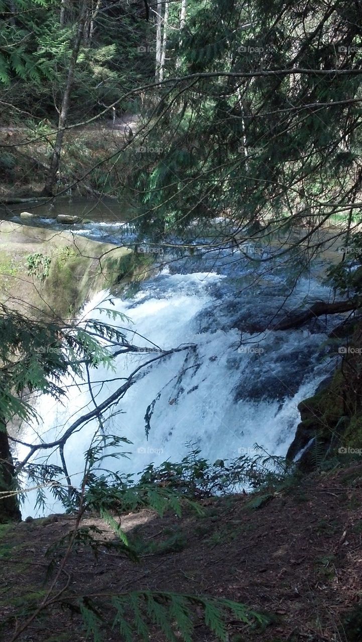 Bellingham falls