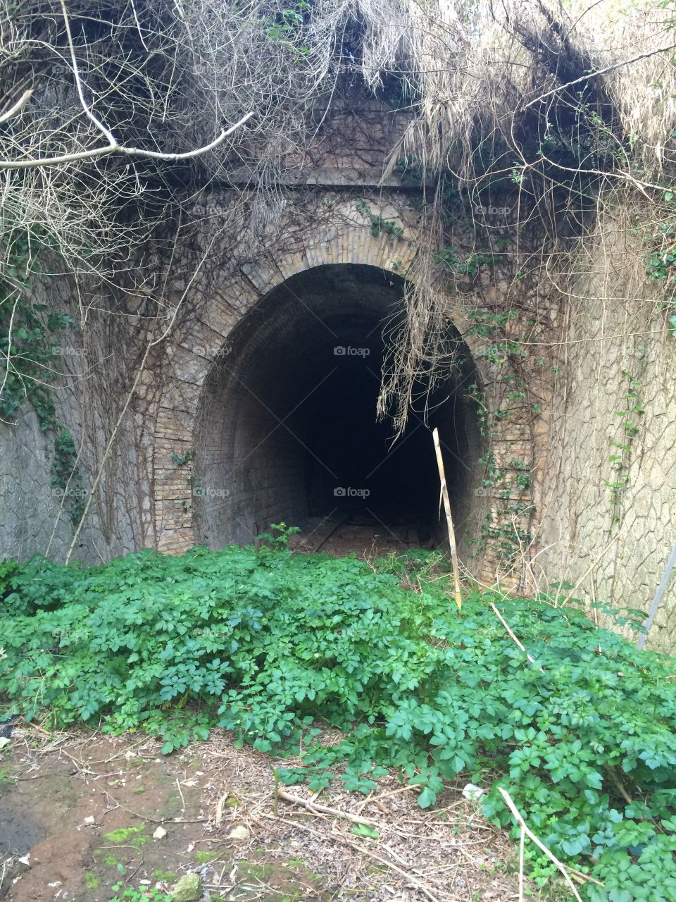 Tunnel to nowhere 