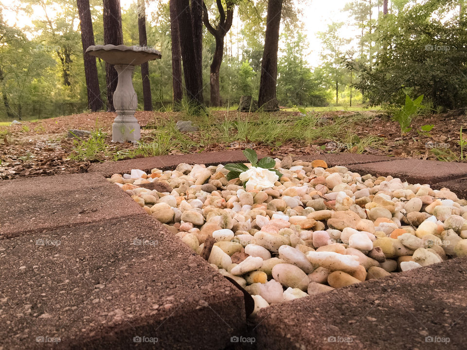 Peaceful outside zen garden