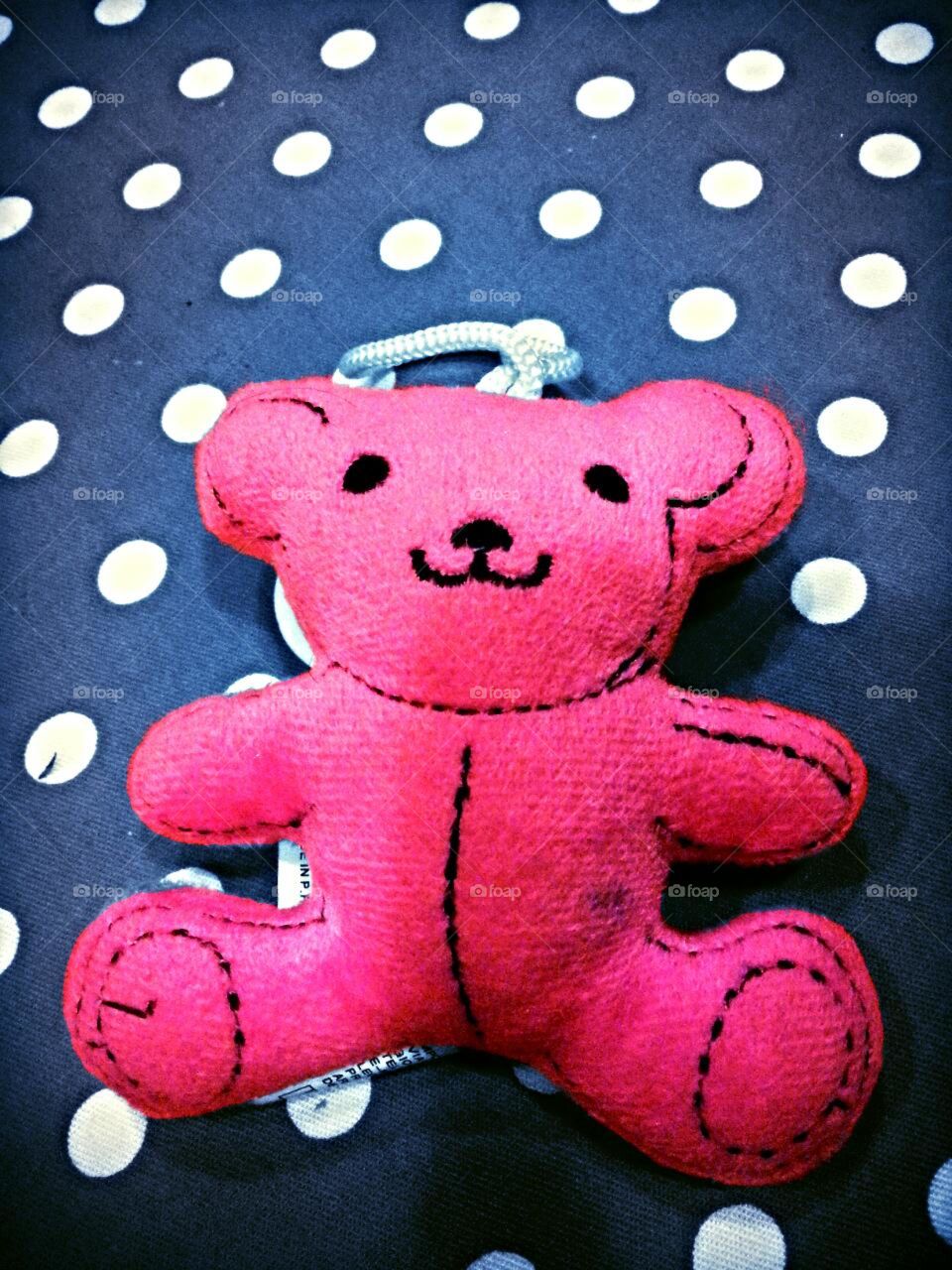 Teddy 