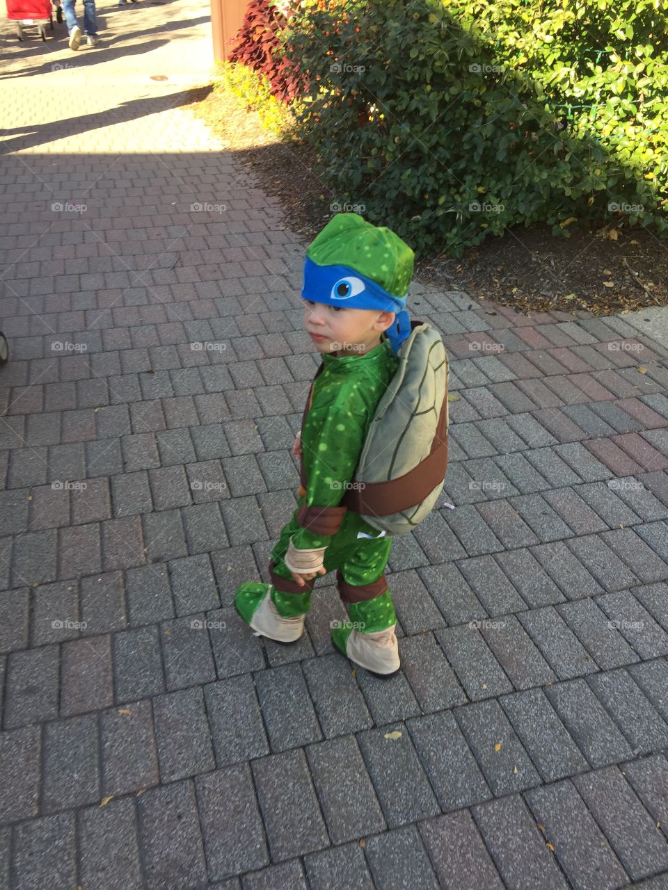 Toddler teenage mutant ninja turtle walking in his cool new Leo costume on Halloween day 