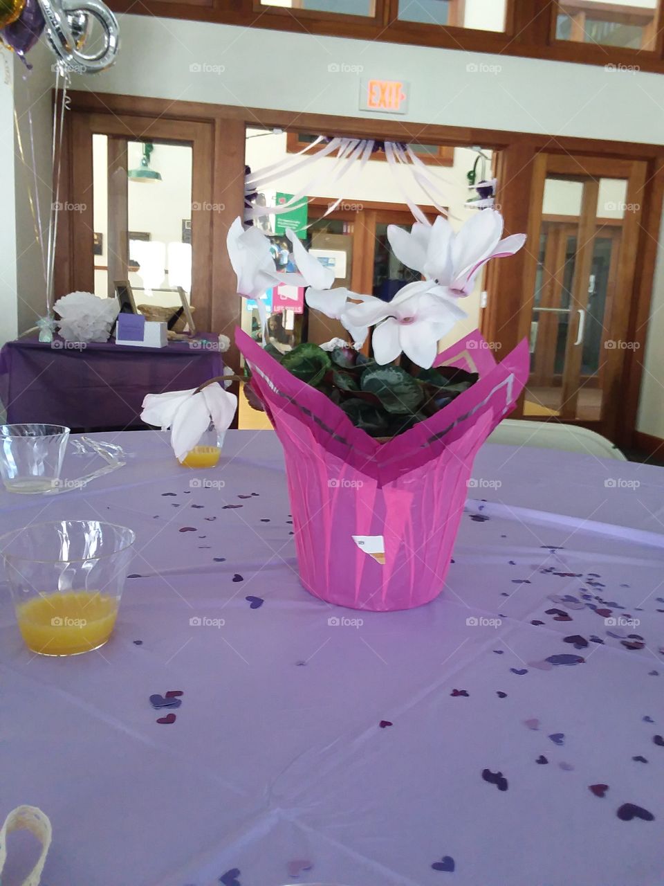 the end of a joyful prospect of the joining of two families.