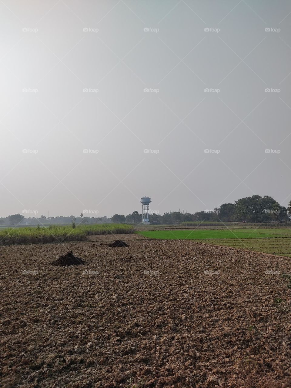 beautiful picture of distant water tank.