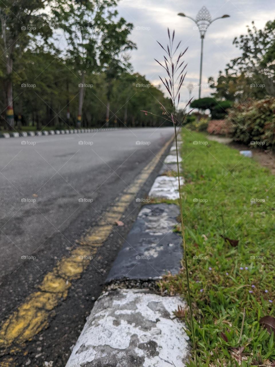 road side view at Siak Sri Indrapura