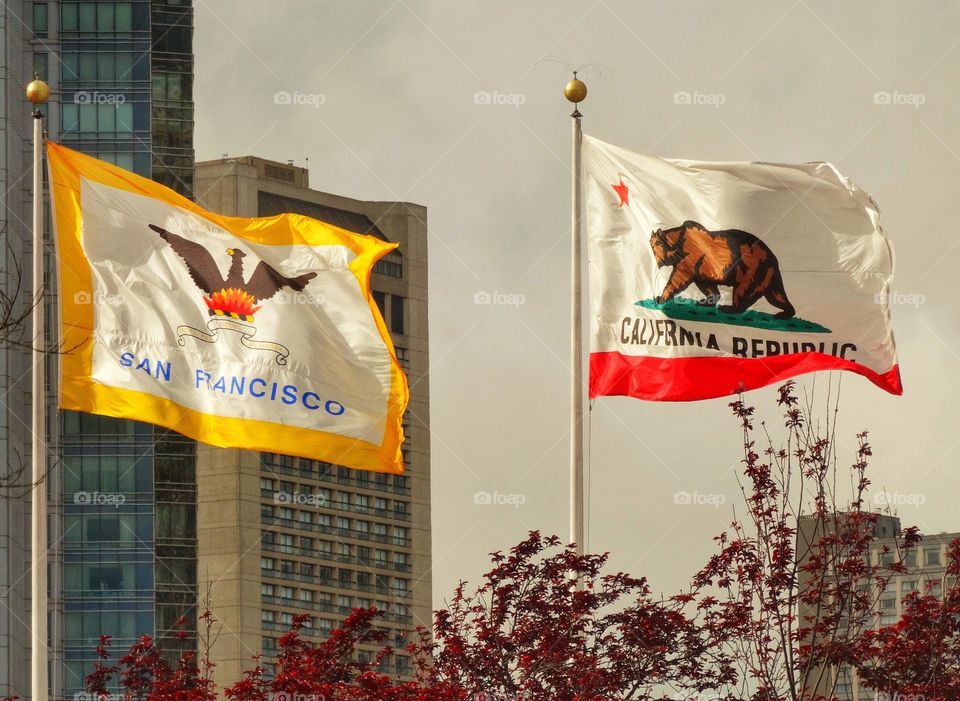 San Francisco California. San Francisco And California Flags
