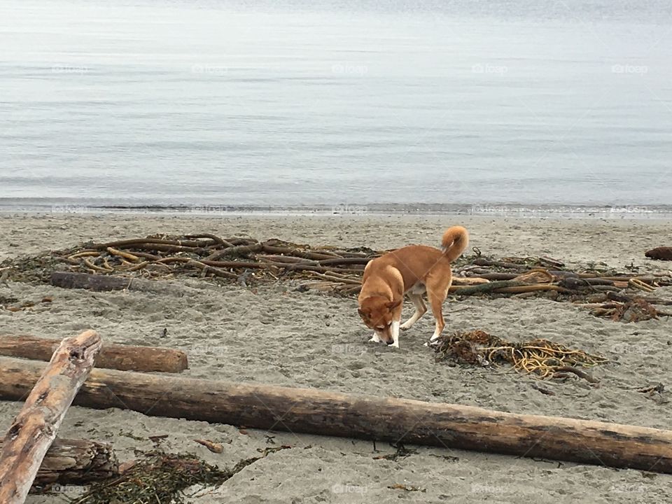 On the beach