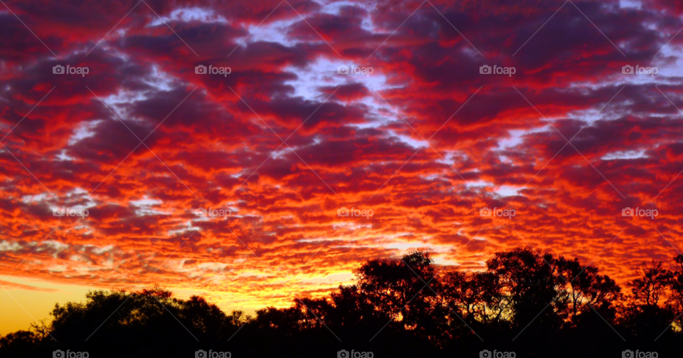 sky red summer sunset by paullj