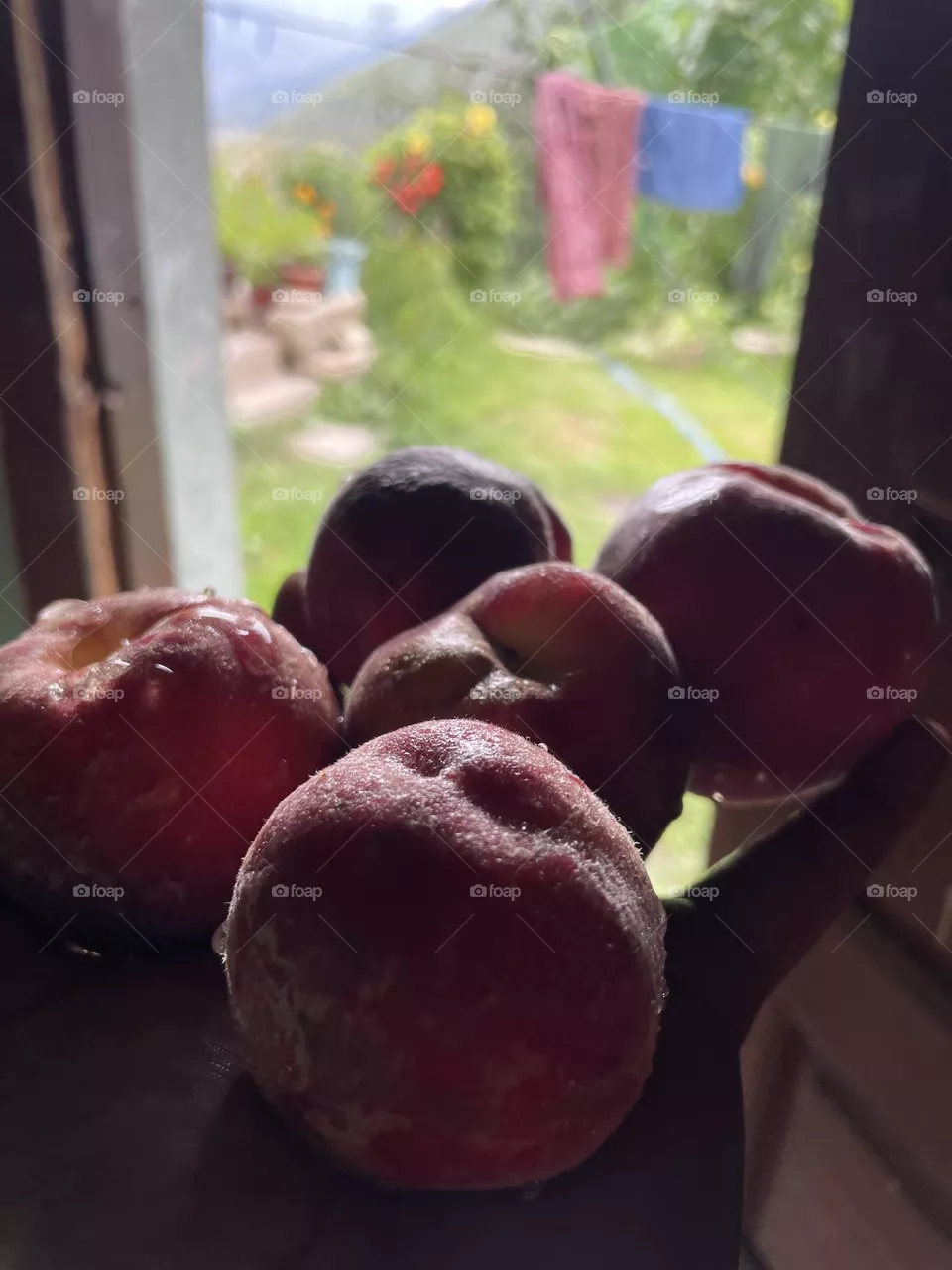 fruits in hand