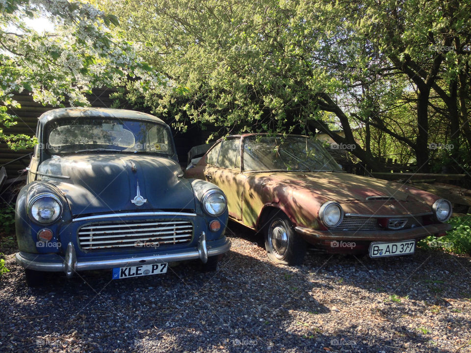 Classic Cars in the backyard