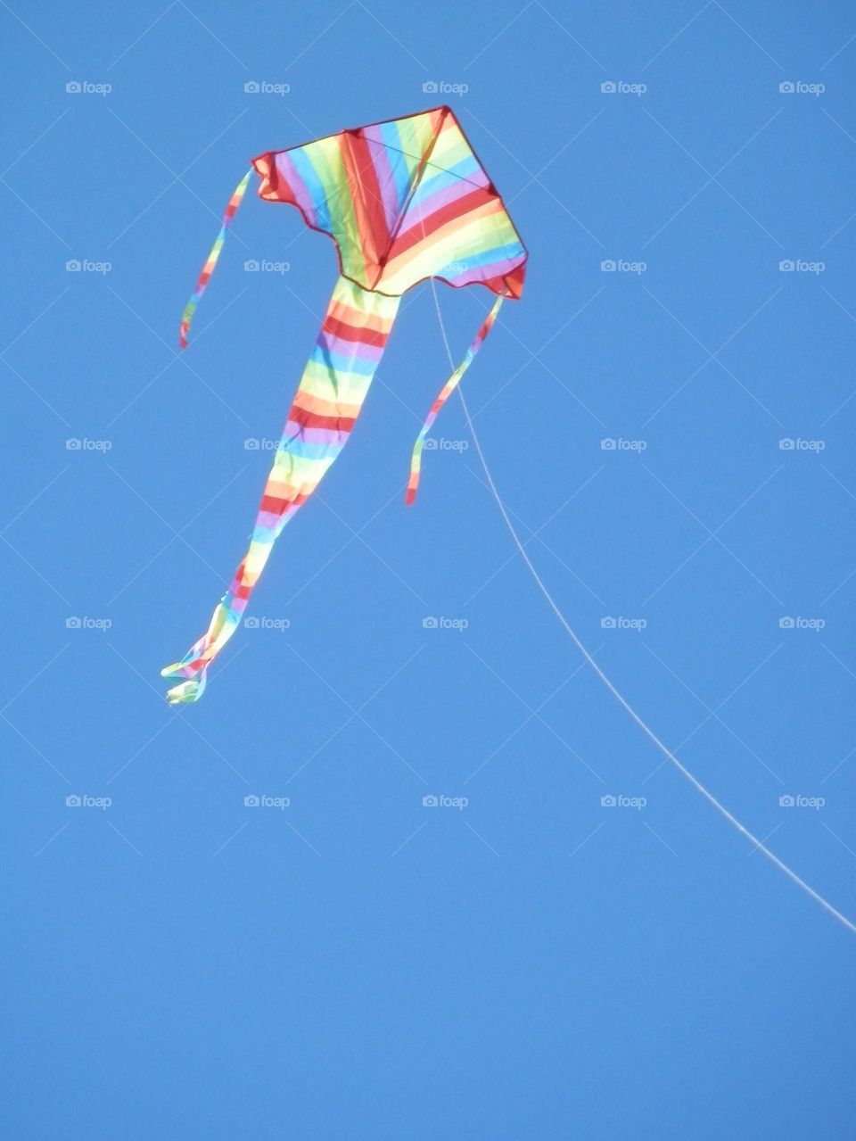 Flying Kite