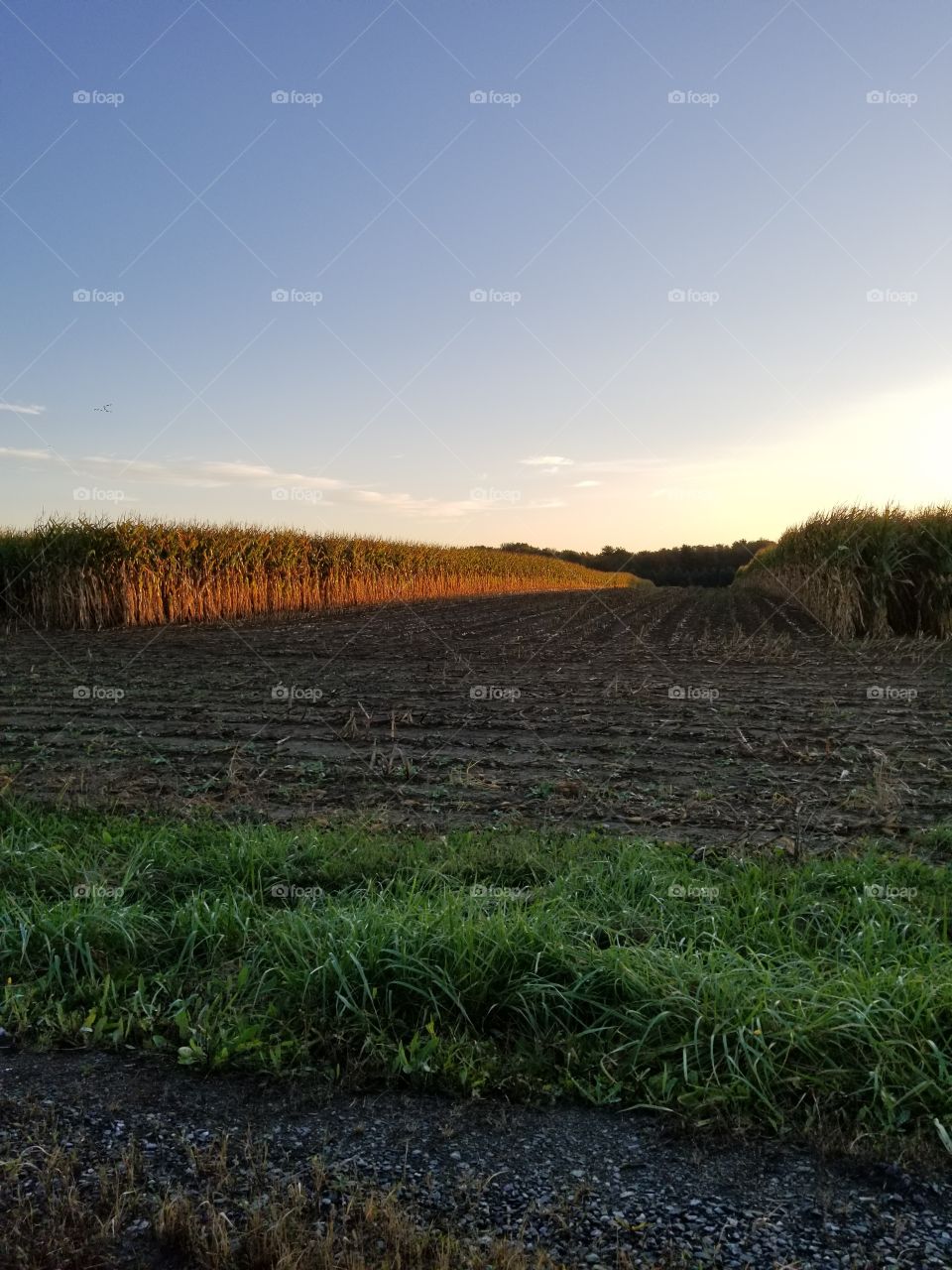 Landscape, No Person, Nature, Sky, Outdoors