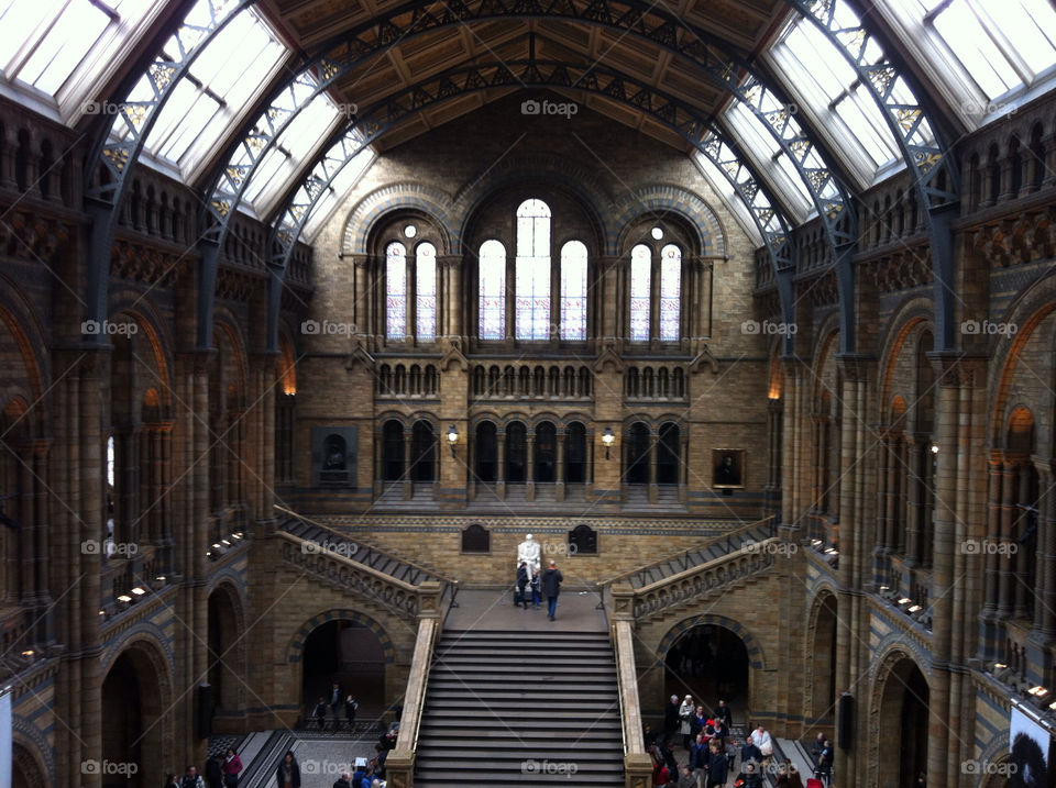 nhm london charles darwin