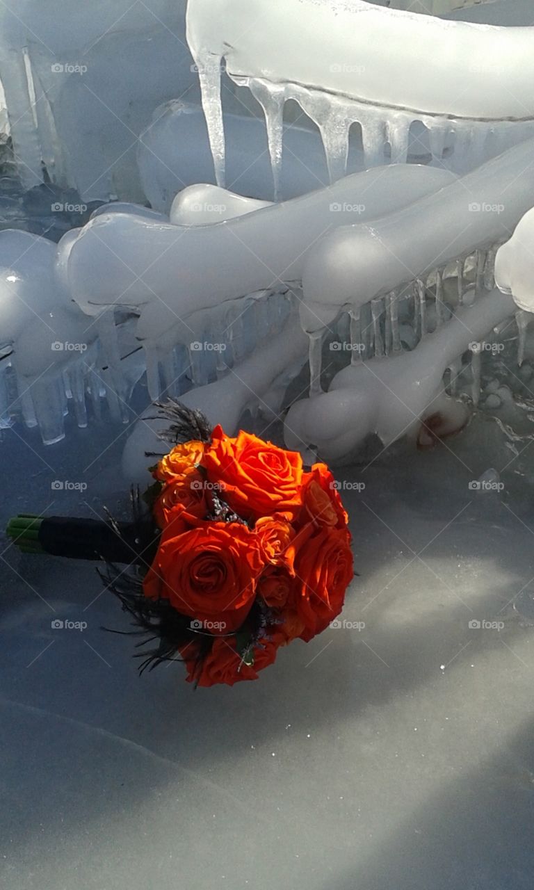 Fire and Ice bouquet. This is a rose bouquet that I made last year for a wedding. It is laying on an ice pool from a water fountain. 