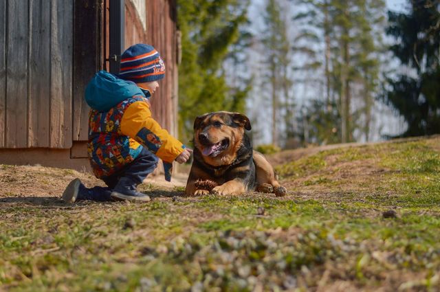 Little boy playing with dog outside.