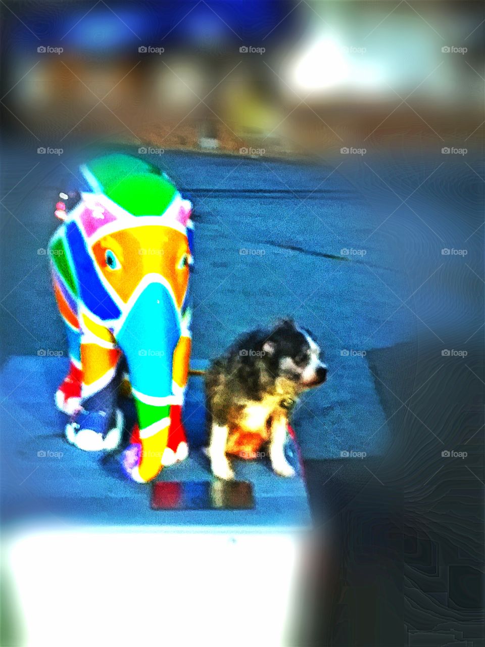 Chopper the dog chillin with his homie the elephant on the corner.